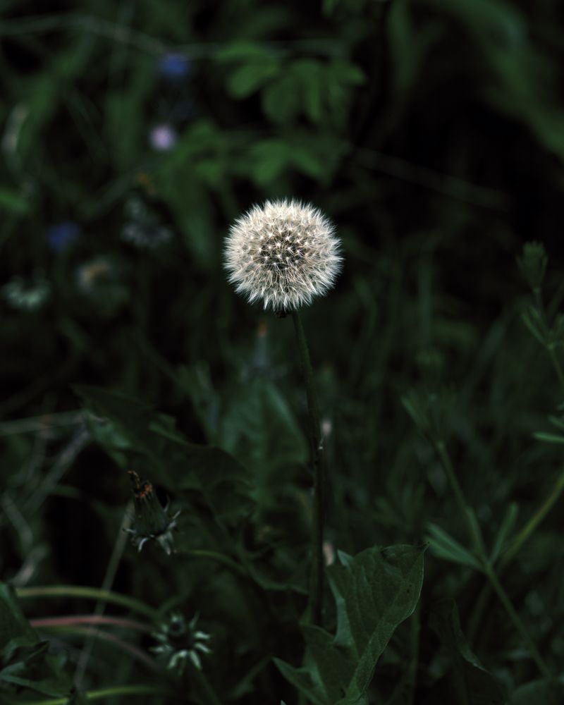 © Oliver Woods - Image from the Beginner's Luck photography project