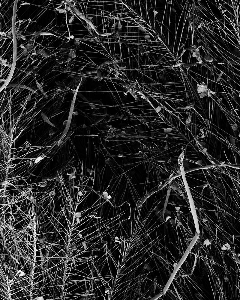 © Oliver Woods - Image from the You Are My One And Only photography project