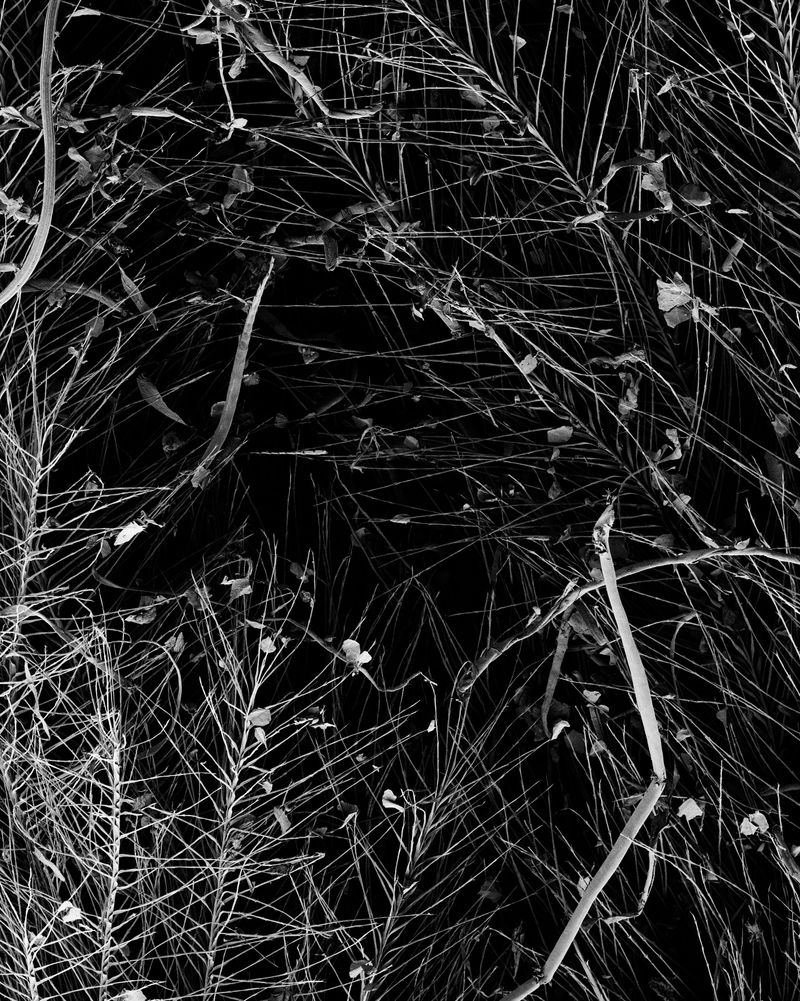 © Oliver Woods - Image from the You Are My One And Only photography project