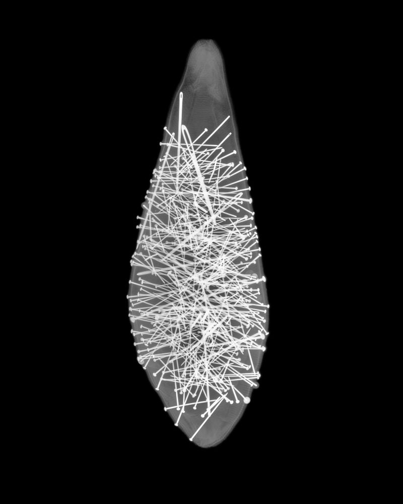 © Oliver Woods - Image from the Emotional Archaeology photography project