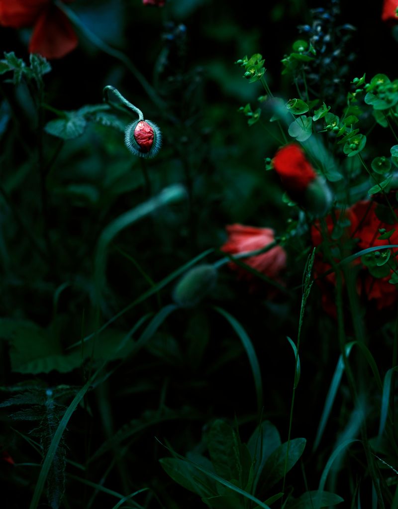 © Oliver Woods - Image from the You Are My One And Only photography project