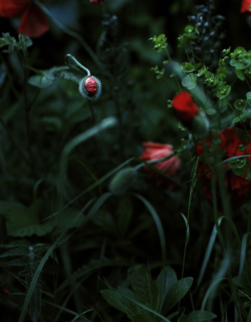 © Oliver Woods - Image from the You Are My One And Only photography project