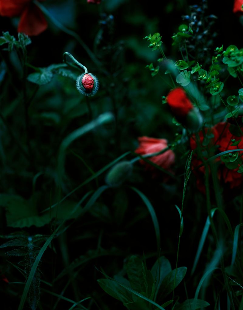 © Oliver Woods - Image from the You Are My One And Only photography project