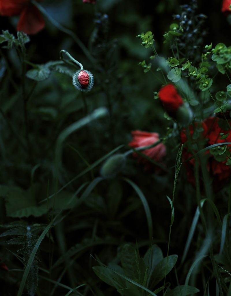 © Oliver Woods - Image from the You Are My One And Only photography project