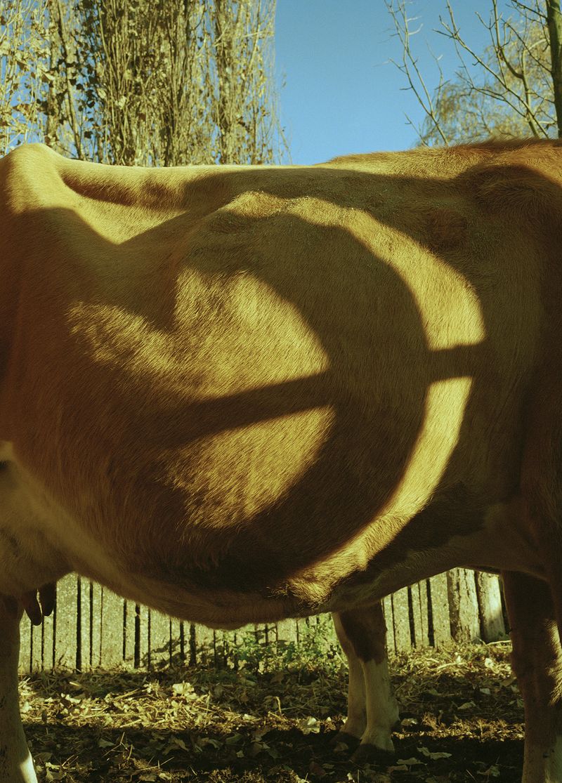© Anna Szász-Bányász - Image from the The future is no longer the same photography project