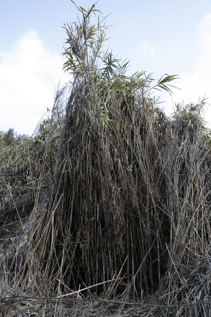 © Ilaria Gioia - Image from the Quale Madre photography project