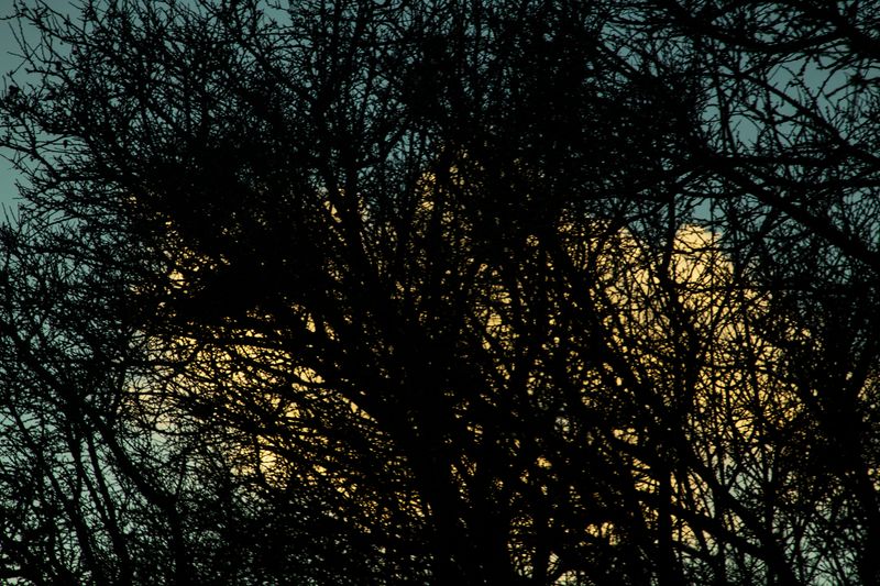 © Ilaria Gioia - Image from the Quale Madre photography project