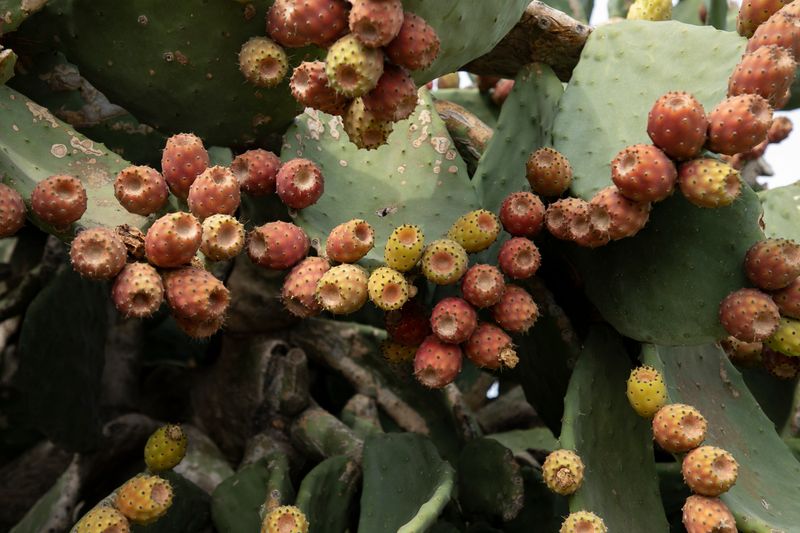 © Ilaria Gioia - Image from the Quale Madre photography project