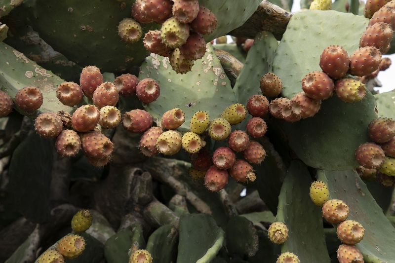 © Ilaria Gioia - Image from the Quale Madre photography project