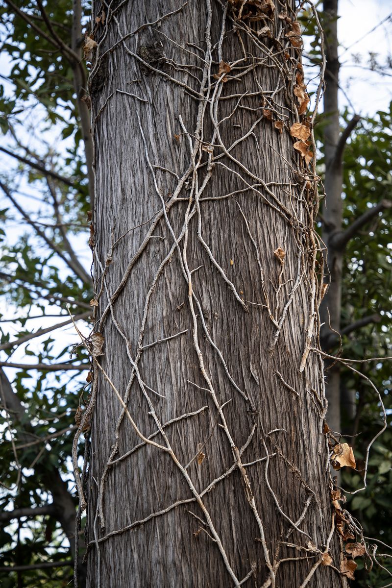 © Ilaria Gioia - Image from the Quale Madre photography project