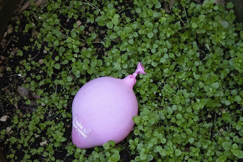 © Ilaria Gioia - Image from the Quale Madre photography project