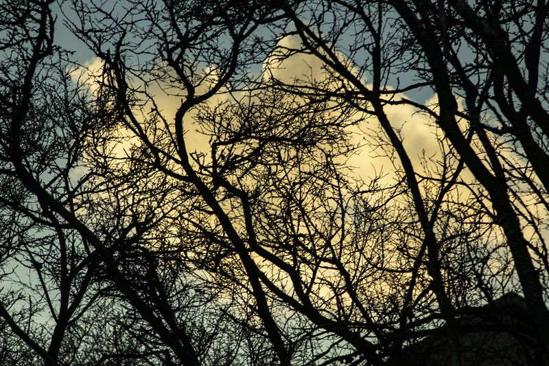 © Ilaria Gioia - Image from the Quale Madre photography project