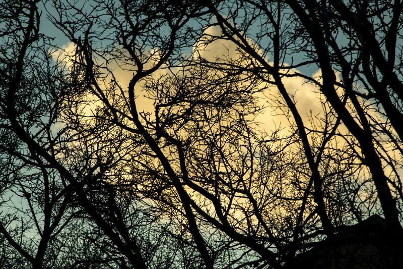 © Ilaria Gioia - Image from the Quale Madre photography project