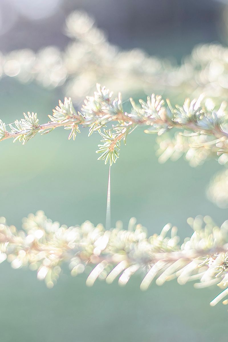 © Ilaria Gioia - Image from the I Am Here photography project