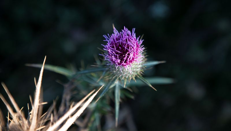 © Ilaria Gioia - Image from the I Am Here photography project