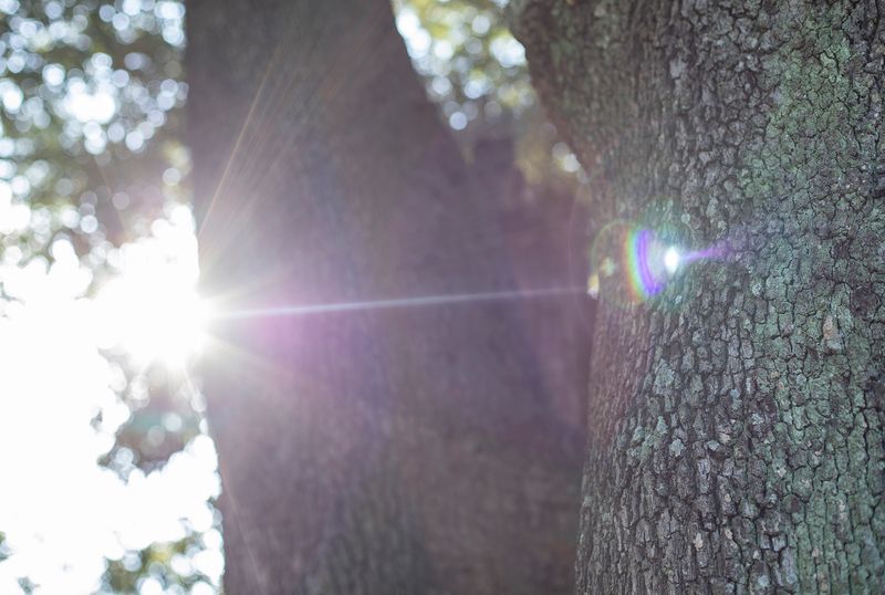 © Ilaria Gioia - Image from the I Am Here photography project