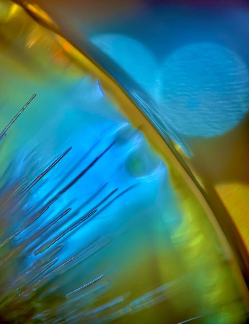 © Marta Fiscus - Image from the One Year Up Close photography project