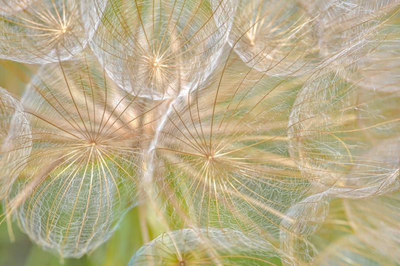 © Marta Fiscus - Image from the One Year Up Close photography project