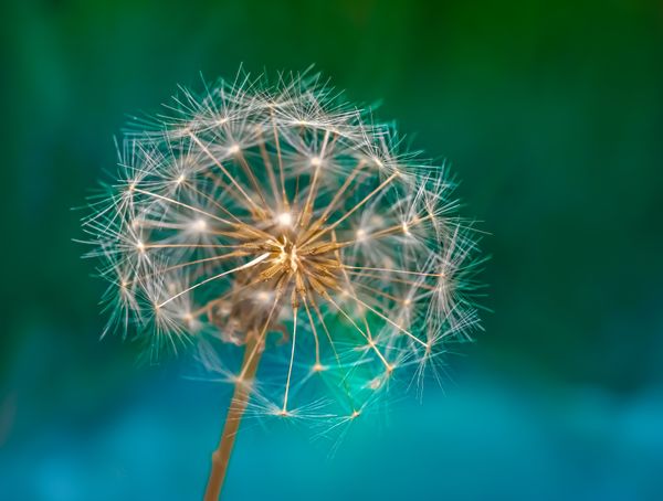 © Marta Fiscus - Image from the One Year Up Close photography project