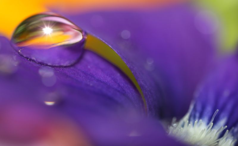 © Marta Fiscus - Image from the One Year Up Close photography project