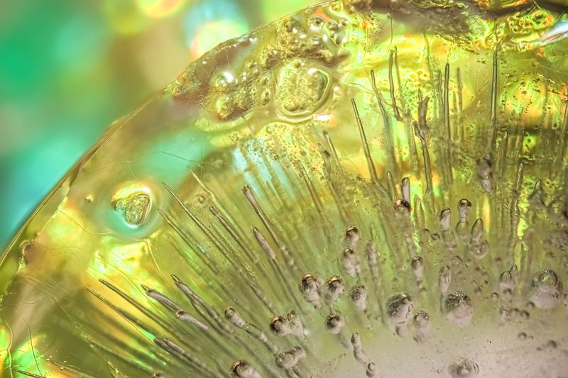 © Marta Fiscus - Image from the One Year Up Close photography project