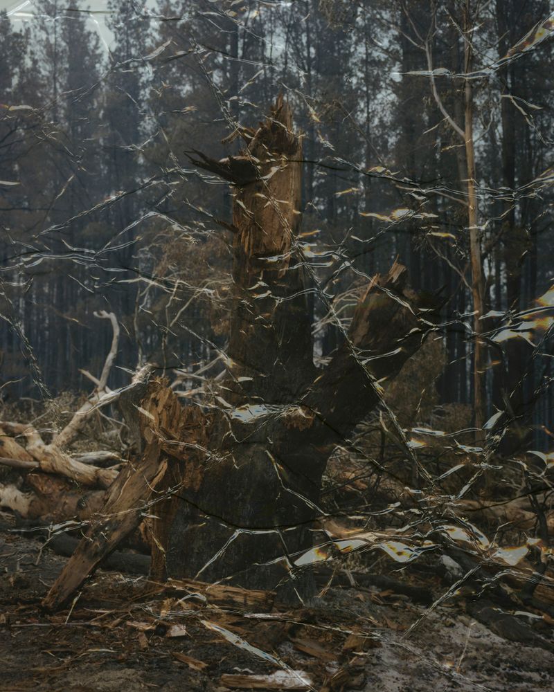 © Tetsuo Kashiwada - Image from the Message photography project