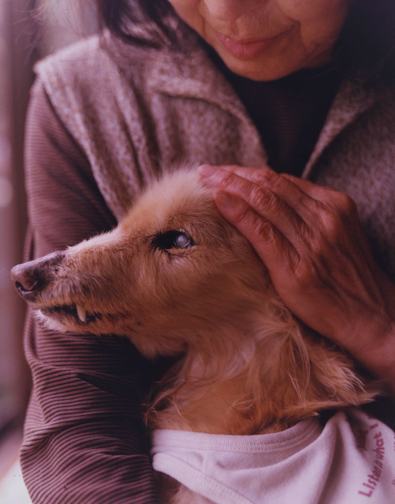 © Tetsuo Kashiwada - Image from the WARASONO photography project