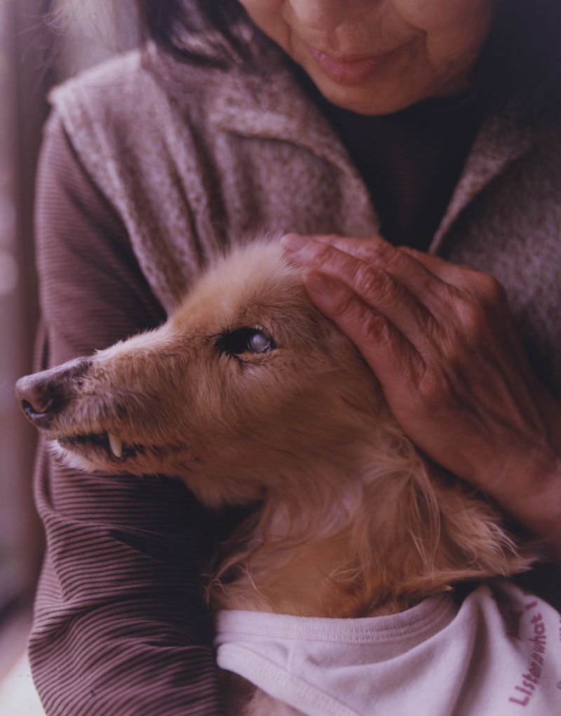 © Tetsuo Kashiwada - Image from the WARASONO photography project