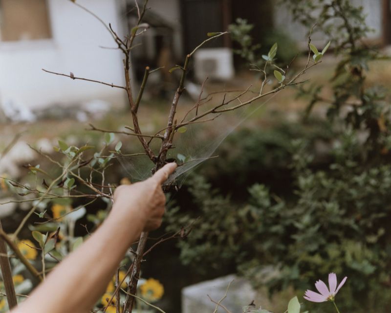 © Tetsuo Kashiwada - Image from the WARASONO photography project