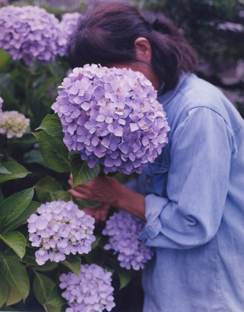 © Tetsuo Kashiwada - Image from the WARASONO photography project