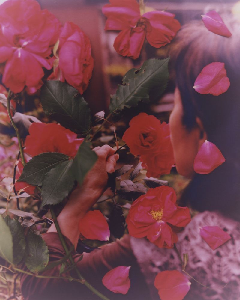 © Tetsuo Kashiwada - Image from the WARASONO photography project