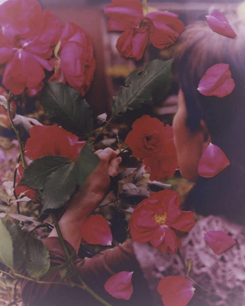 © Tetsuo Kashiwada - Image from the WARASONO photography project