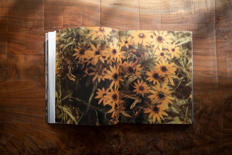 © Tetsuo Kashiwada - Image from the WARASONO photography project