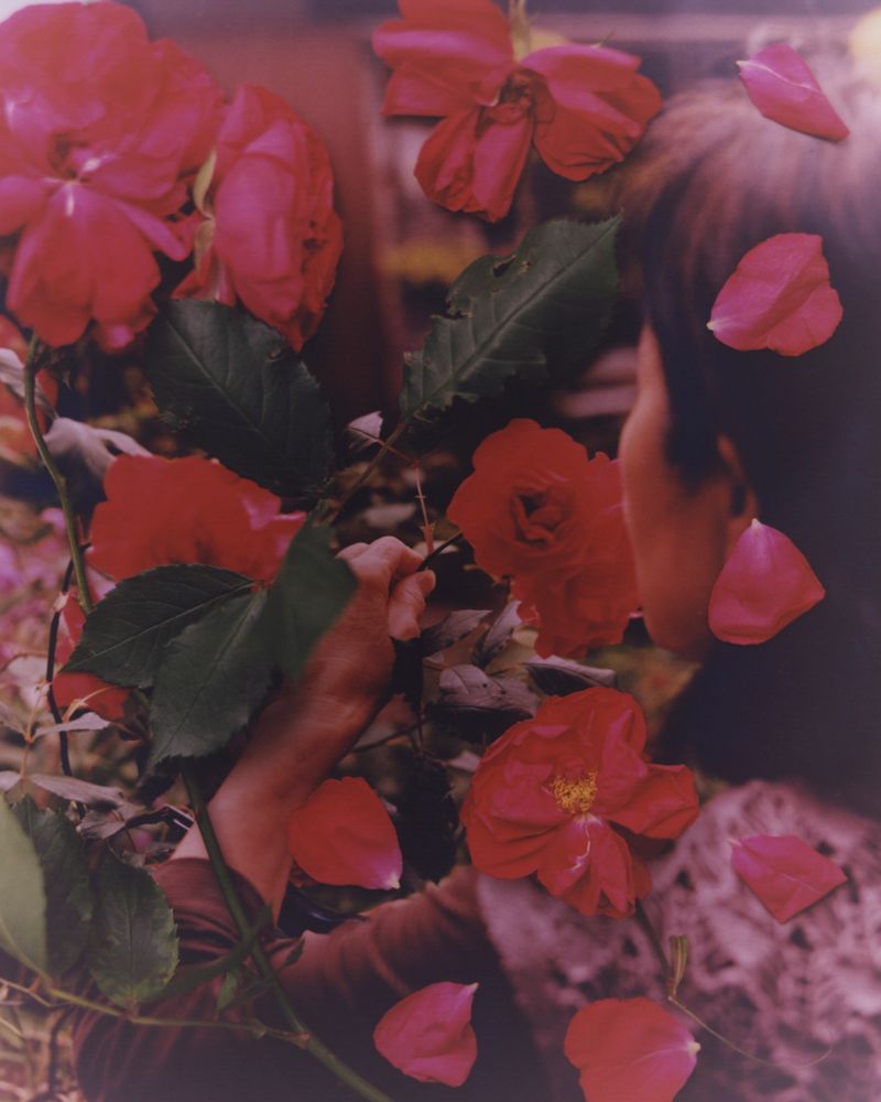 © Tetsuo Kashiwada - Image from the WARASONO photography project