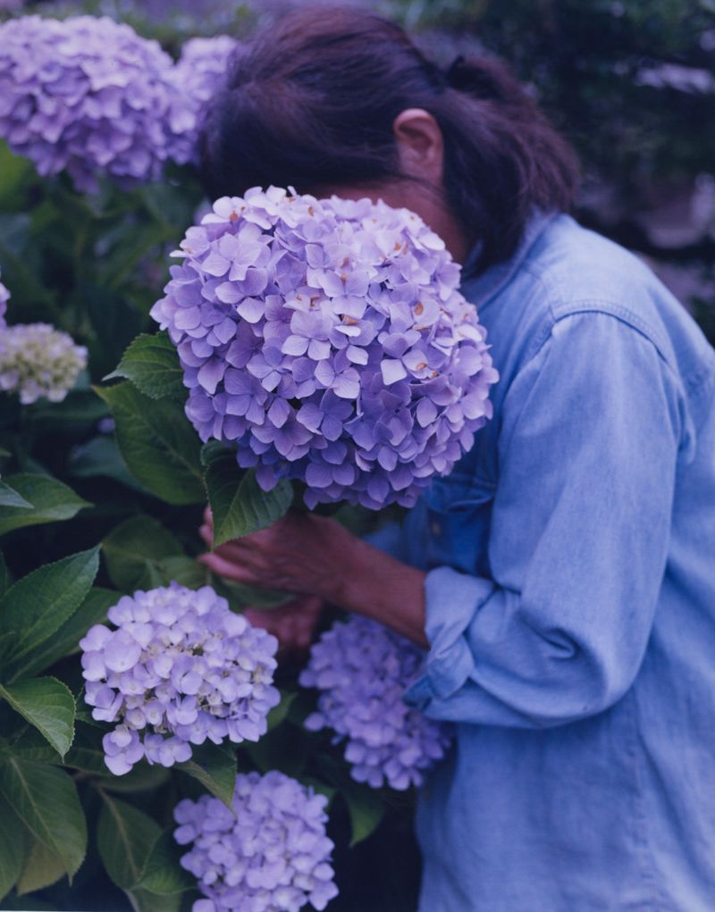 © Tetsuo Kashiwada - Image from the WARASONO photography project