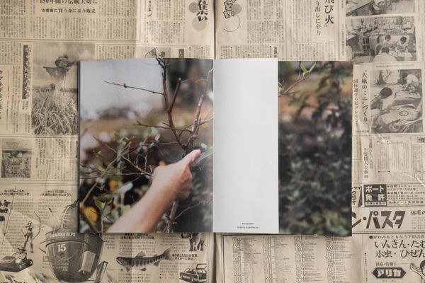 © Tetsuo Kashiwada - Image from the WARASONO photography project