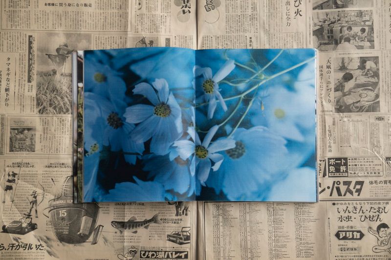 © Tetsuo Kashiwada - Image from the WARASONO photography project