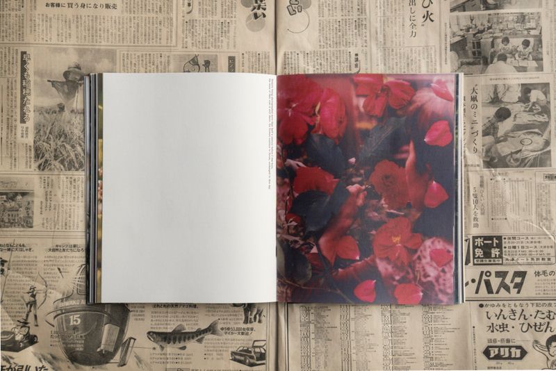 © Tetsuo Kashiwada - Image from the WARASONO photography project