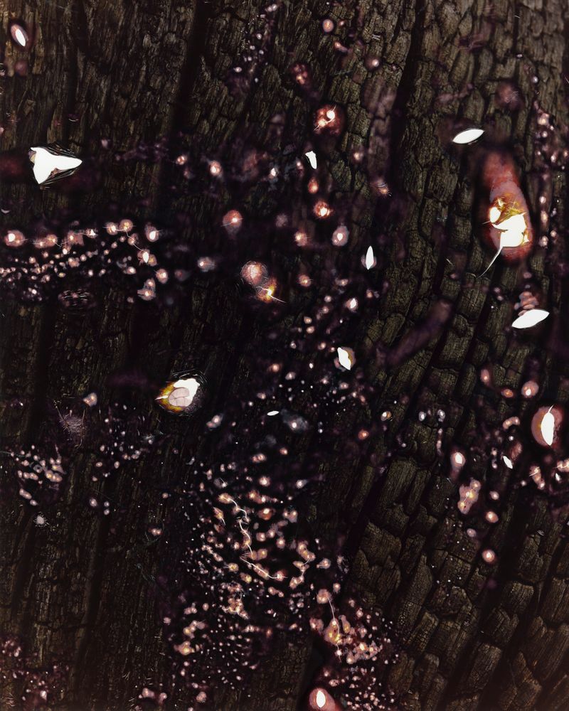 © Tetsuo Kashiwada - Image from the Interwoven photography project