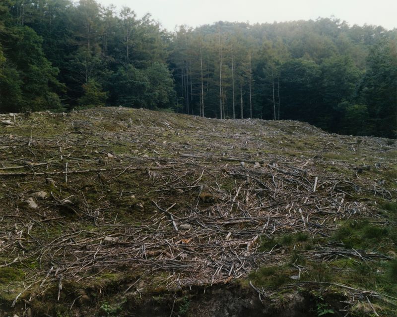 © Tetsuo Kashiwada - Image from the Interwoven photography project