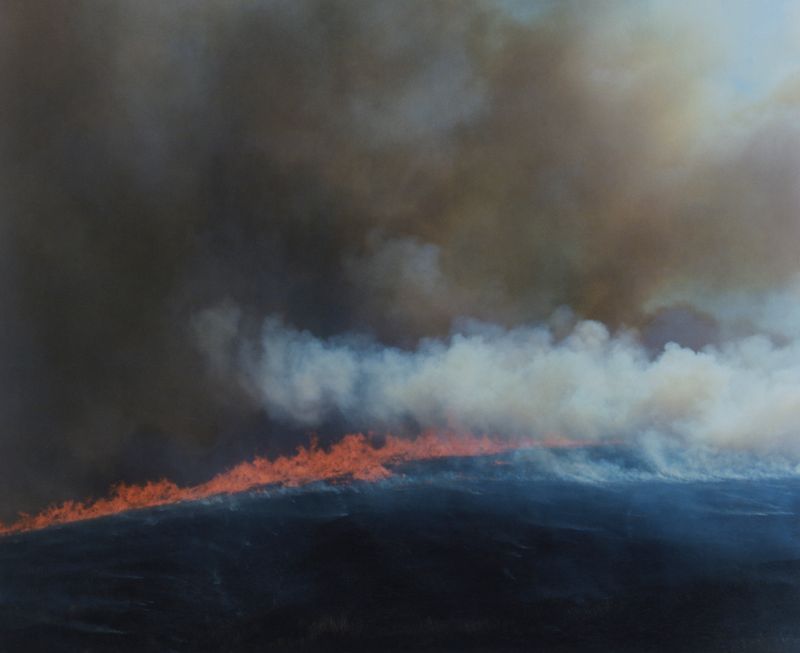 © Tetsuo Kashiwada - Image from the Interwoven photography project