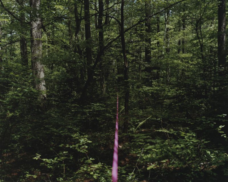 © Tetsuo Kashiwada - Image from the Interwoven photography project