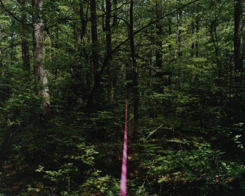 © Tetsuo Kashiwada - Image from the Interwoven photography project