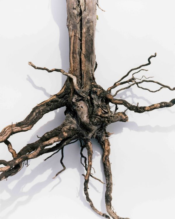 © Tetsuo Kashiwada - Image from the Pulling the Void photography project