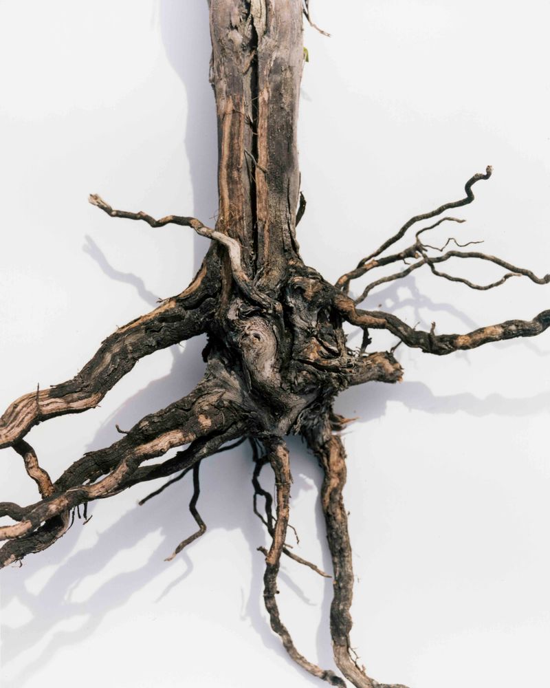 © Tetsuo Kashiwada - Image from the Pulling the Void photography project