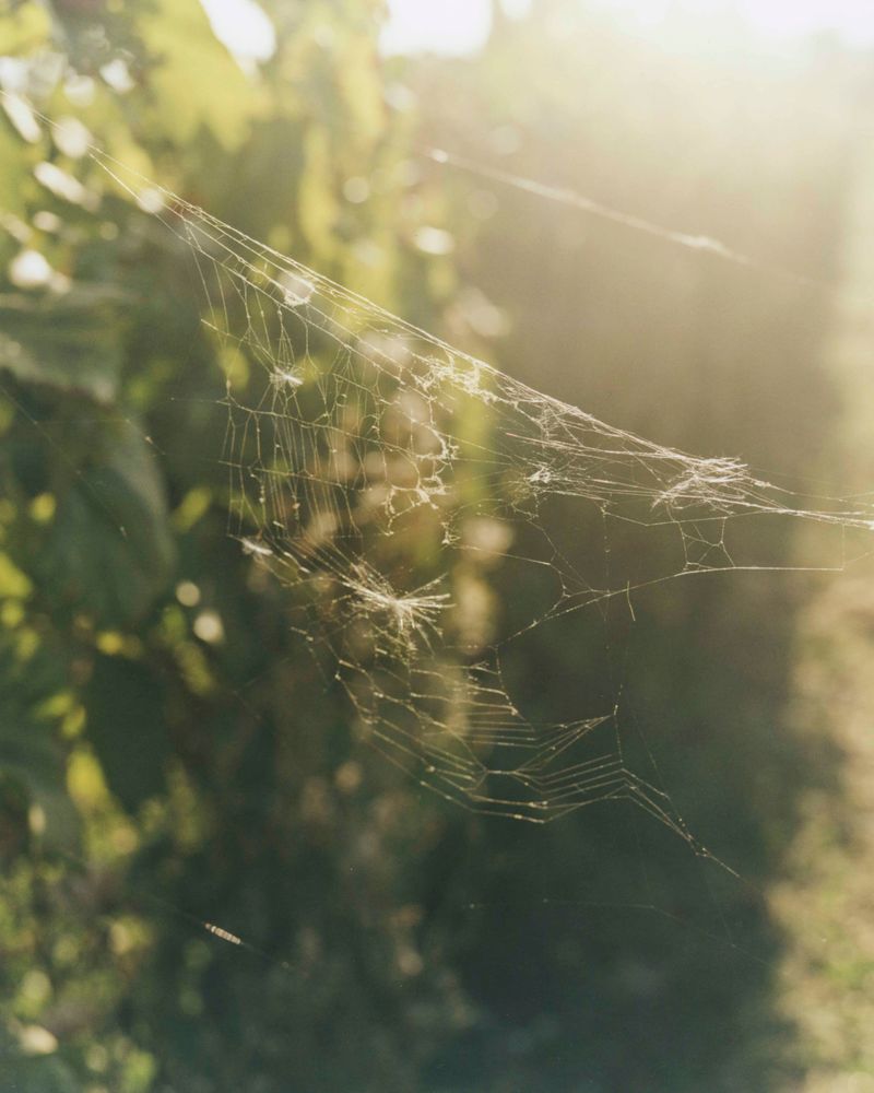 © Tetsuo Kashiwada - Image from the Pulling the Void photography project