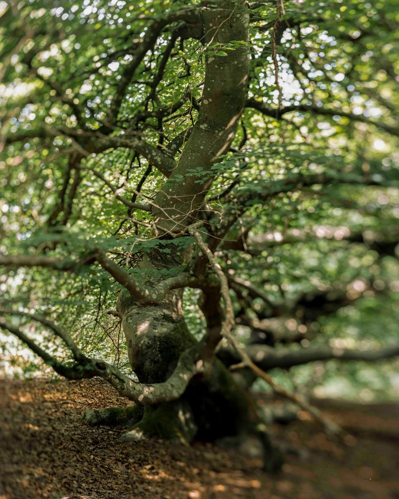 © Tetsuo Kashiwada - Image from the Pulling the Void photography project