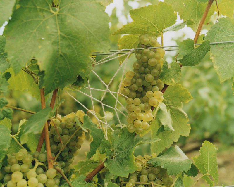 © Tetsuo Kashiwada - Image from the Pulling the Void photography project