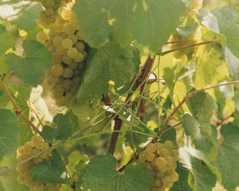 © Tetsuo Kashiwada - Image from the Pulling the Void photography project