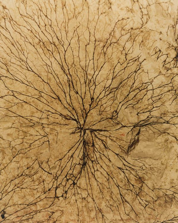 © Tetsuo Kashiwada - Image from the Pulling the Void photography project